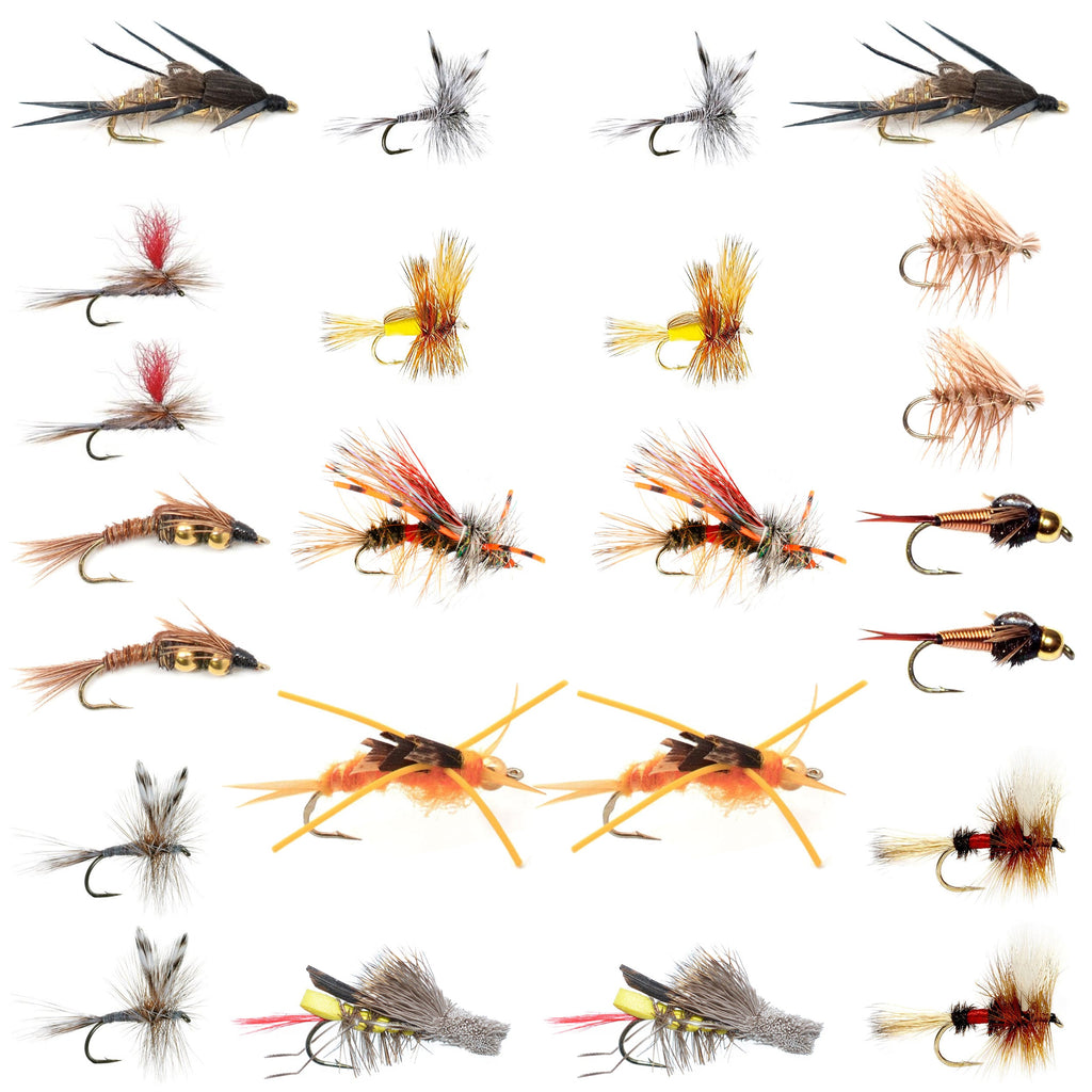 Trout Fly Assortment - Essential Western Dry and Nymph Fly Fishing Flies Collection - 2 Dozen Trout Flies with Fly Box
